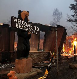 Insurance Companies Sue PG&E For Losses!