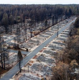 5 Million Ton of Debris in Paradise to Clean up!