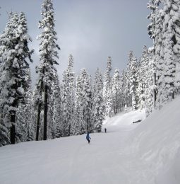 Another Wet and Snowy Week!