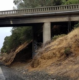 Bowman Bridge Project Begins!