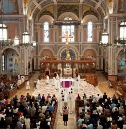Sac Diocese Sex Offenders Protected From Legal Action!