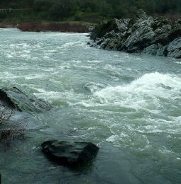 Another Drowning On American Confluence Tuesday!