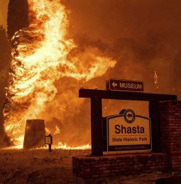 Shasta County Wildfire Could Be Big One Of The 2019 Season!