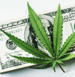 House Starts Process to Go To Pot!