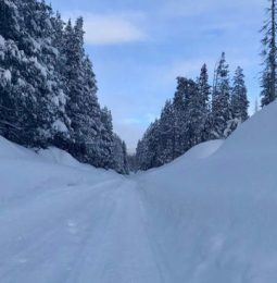 Winter Storm Coming For Thanksgiving! Travel Warnings!