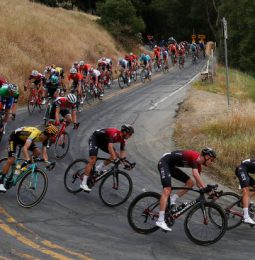AMGEN Takes Year Off!